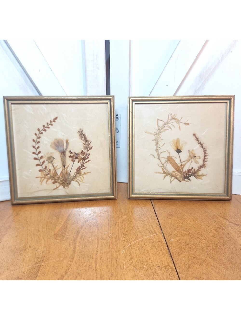 VTG Pressed Flower Framed Wall Art Miniature Botanical 5.25X5.25" Germany